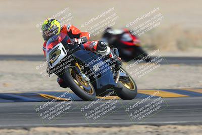 media/Feb-04-2023-SoCal Trackdays (Sat) [[8a776bf2c3]]/Turn 4 (Tree of Life 2pm)/